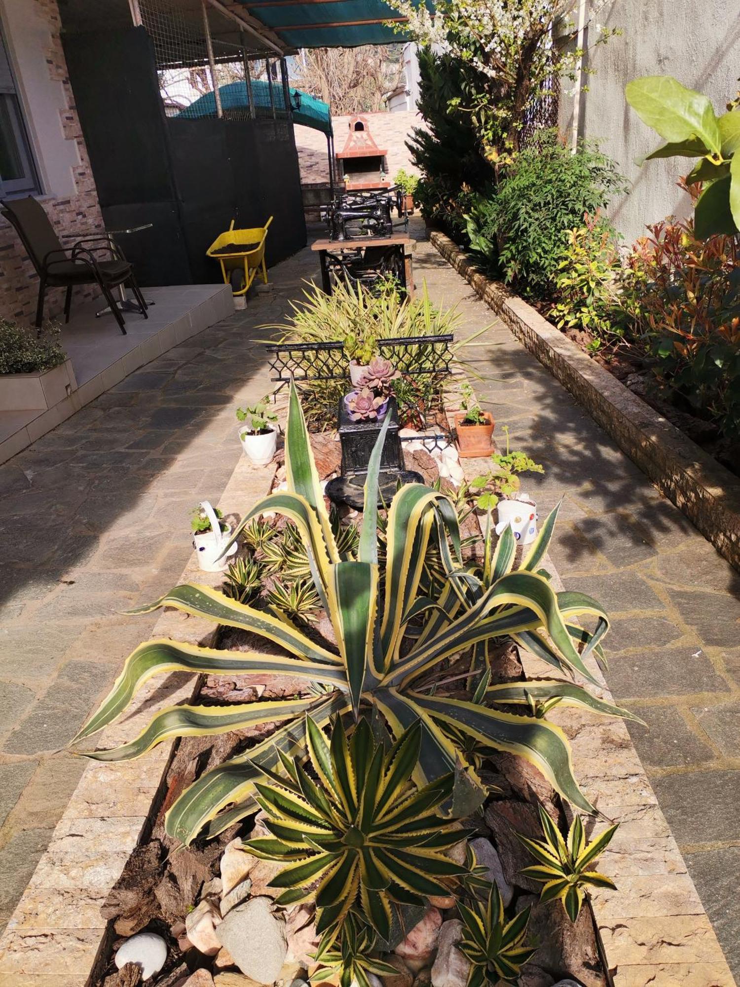 Studios Lia Adults Only -Fully Renovated Chrysi Ammoudia ภายนอก รูปภาพ